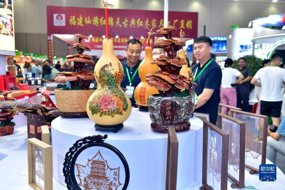 怎么注册赌网站